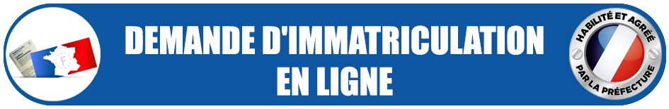 DEMANDE D'IMMATRICULATION EN LIGNE